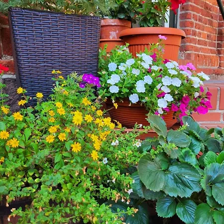 شقة Hof Schacht Penkow