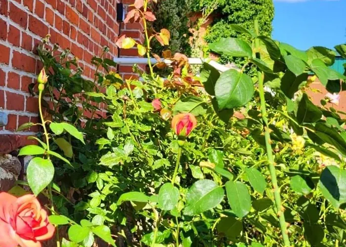 Hof Schacht Apartmán *